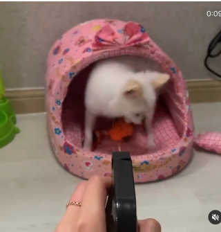 쇼니님이 올린 리뷰 사진 4