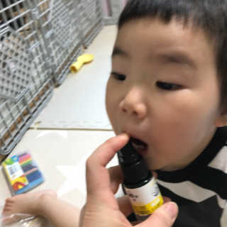 로그네이처 로그 키즈 프로폴리스 스프레이 — 5점을 준 리뷰어가 2020년 5월 올린 사용 사진