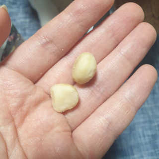 도이퉁 마카다미아 넛 90g  로얄 마카넛 오리지널 쏠트 허니 — 5점을 준 리뷰어가 2020년 11월 올린 사용 사진