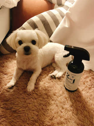 알음님이 올린 리뷰 사진 3