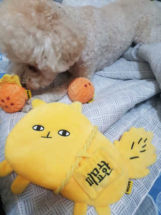 크림푸님이 올린 리뷰 사진 3
