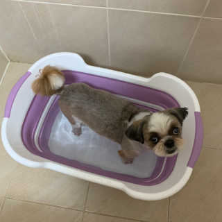 persona님이 올린 리뷰 사진 1