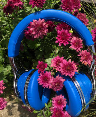 SEVIZ Bluetooth Headphones 10 3color — 5점을 준 리뷰어가 2020년 6월 올린 사용 사진