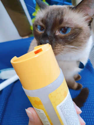 소유님이 올린 리뷰 사진 2