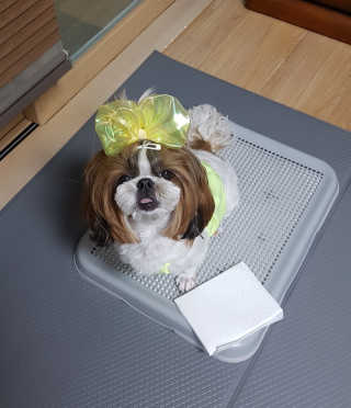 쓰리준맘님이 올린 리뷰 사진 1