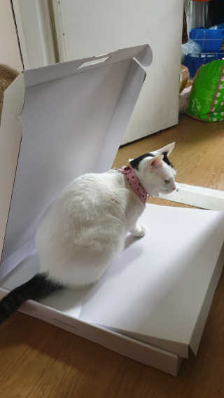 SeulonPark님이 올린 리뷰 사진 3