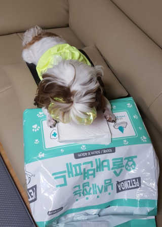쓰리준맘님이 올린 리뷰 사진 3