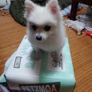 이누닷님이 올린 리뷰 사진 2