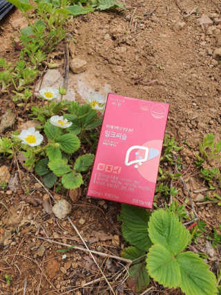 둥글이님이 올린 리뷰 사진 2