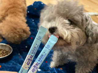 멜쏘님이 올린 리뷰 사진 3