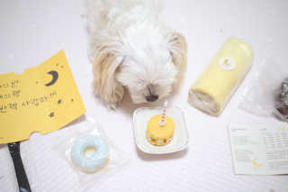 youngran님이 올린 리뷰 사진 2