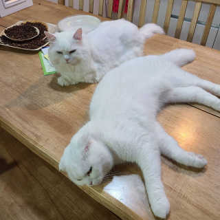 논지님이 올린 리뷰 사진 3
