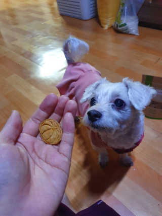소영님이 올린 리뷰 사진 2