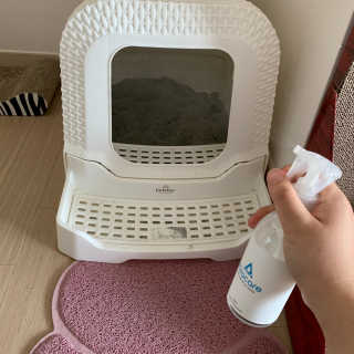수경이야님이 올린 리뷰 사진 2