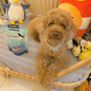 뚜루님이 올린 리뷰 사진 1