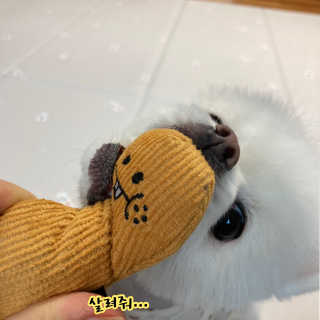 예린최님이 올린 리뷰 사진 2