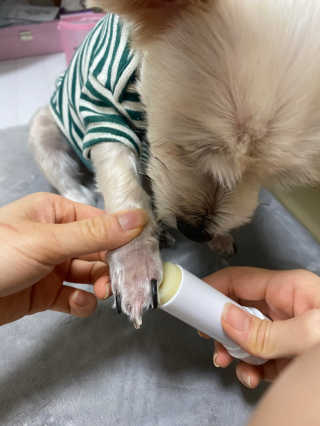 다운당님이 올린 리뷰 사진 3