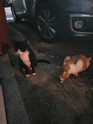 란이님이 올린 리뷰 사진 4