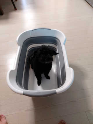 몽이님이 올린 리뷰 사진 4