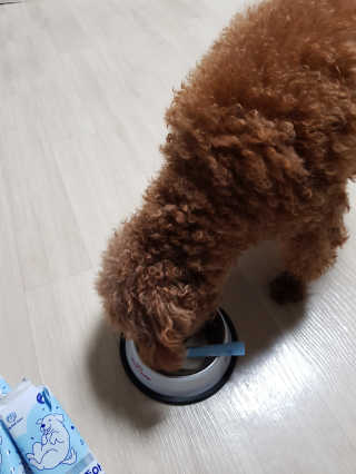 준맘님이 올린 리뷰 사진 3