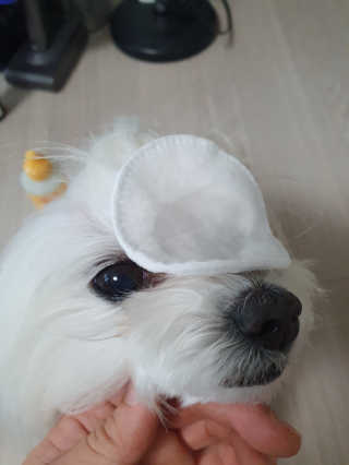 구니구니구니님이 올린 리뷰 사진 3
