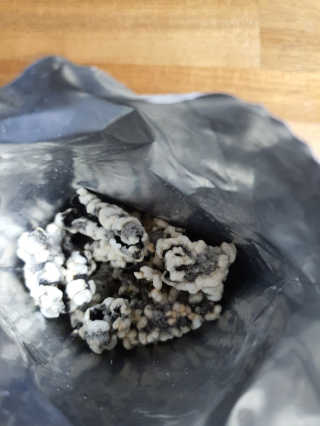 빛고울미님이 올린 리뷰 사진 2