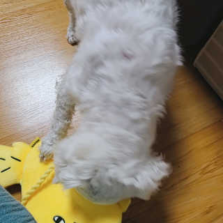 쮸디님이 올린 리뷰 사진 3