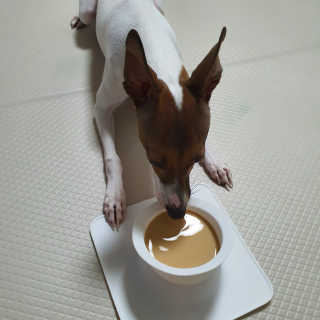 수달수님이 올린 리뷰 사진 4