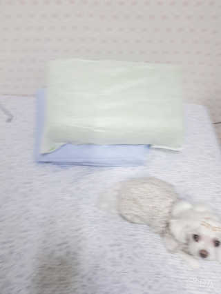 두부님이 올린 리뷰 사진 4