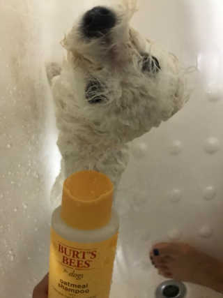 꾸왑님이 올린 리뷰 사진 3