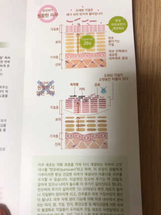 셀타 엔자임 워시 파우더 — 5점을 준 리뷰어가 2020년 9월 올린 사용 사진