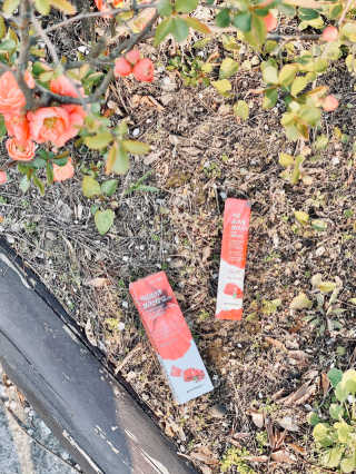 반달토끼님이 올린 리뷰 사진 3