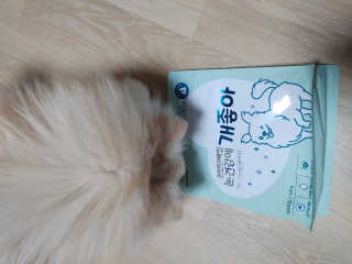 My Pet Care 천연단백질 눈건강에 개좋아 — 5점을 준 리뷰어가 2020년 11월 올린 사용 사진