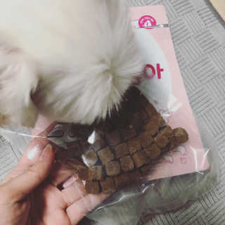 My Pet Care 천연단백질 관절건강에 개좋아 — 5점을 준 리뷰어가 2020년 12월 올린 사용 사진