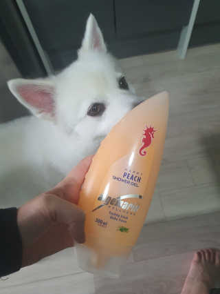 SooYeonKim님이 올린 리뷰 사진 1