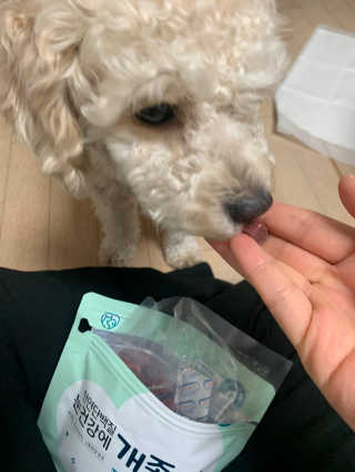 My Pet Care 천연단백질 눈건강에 개좋아 — 5점을 준 리뷰어가 2020년 11월 올린 사용 사진