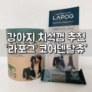 [푸디웜] 라포그 코어덴탈츄 그린 (10개입) — 3점을 준 리뷰어가 2020년 9월 올린 사용 사진