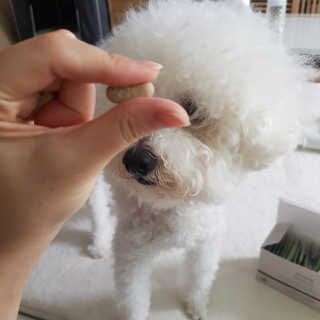 ❤꼬네우니🧡님이 올린 리뷰 사진 4
