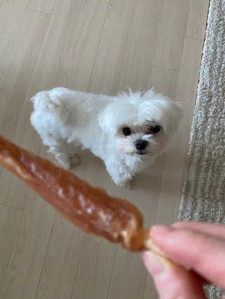 황방울이님이 올린 리뷰 사진 3