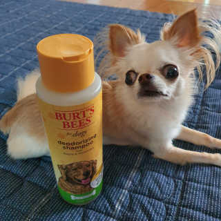 효뀨님이 올린 리뷰 사진 3