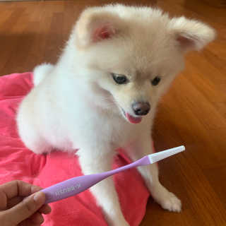 withmin님이 올린 리뷰 사진 4