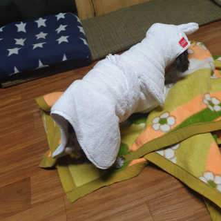 가횽님이 올린 리뷰 사진 4