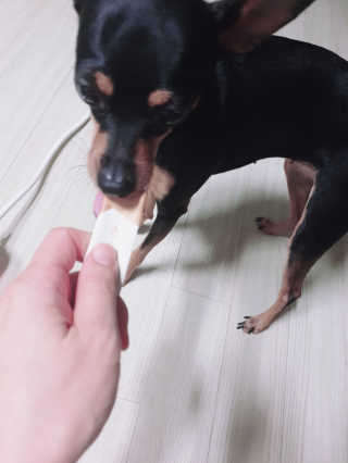 도도님이 올린 리뷰 사진 3