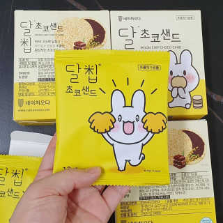 네이처오다 달칩 초코샌드 — 4점을 준 리뷰어가 2020년 7월 올린 사용 사진