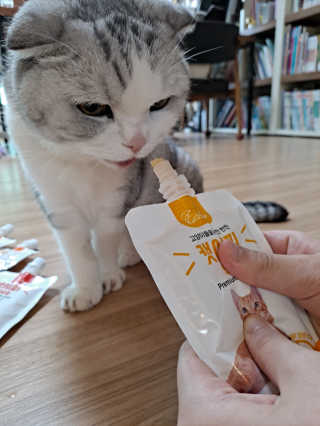 라니으니님이 올린 리뷰 사진 2