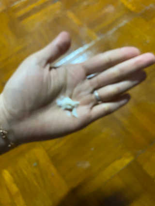 호두맞팔해요님이 올린 리뷰 사진 3