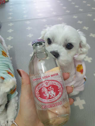 뽀야님이 올린 리뷰 사진 1