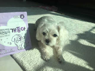 My Pet Care 천연단백질 치아건강에 개좋아 — 5점을 준 리뷰어가 2020년 11월 올린 사용 사진