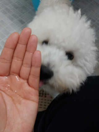 lovelyb님이 올린 리뷰 사진 4