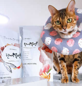 효니님이 올린 리뷰 사진 1